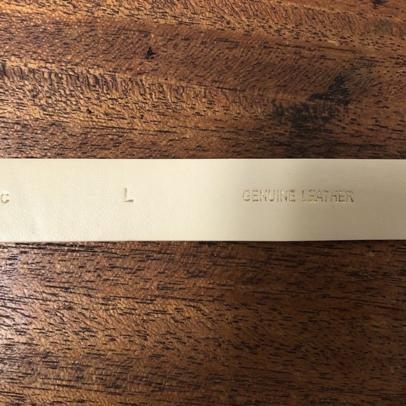 Kate Spade/Vincent Camuto 2 Woman, belt Size L, $20 Ea,light pink, green, .! main image 9